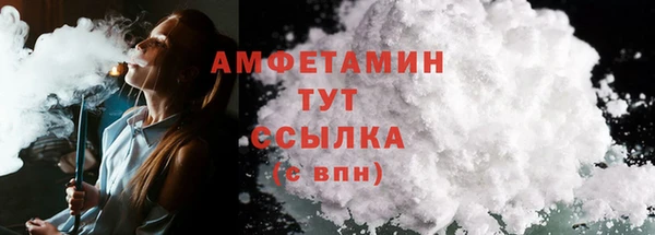 шишки Костерёво