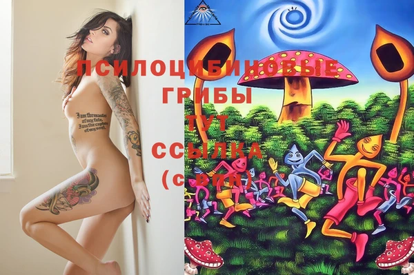 jwh Абинск